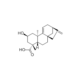 2 beta-Hydroxygrandiflorenic acid | 5mg | RS-09782