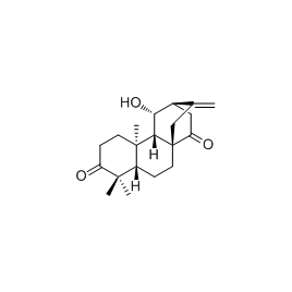 1092103-22-4 | 5mg | RS-05447