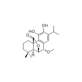 113085-62-4 | 5mg | RS-04243