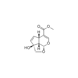 144868-43-9 | 5mg | RS-01084