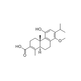 146900-55-2 | 5mg | RS-07562