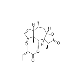 16503-32-5 | 10mg | RS-00534