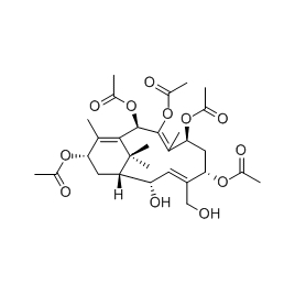 167906-75-4 | 5mg | RS-08446
