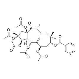 210108-85-3 | 5mg | RS-06071