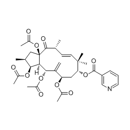 244277-75-6 | 5mg | RS-03630