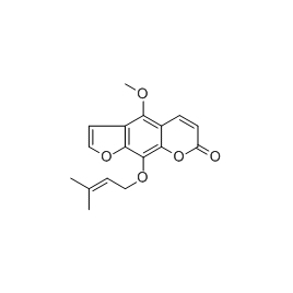 2543-94-4 | 10mg | RS-01762
