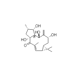34208-98-5 | 20mg | RS-02468