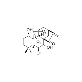 52617-37-5 | 5mg | RS-01844