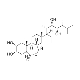 72962-43-7 | 20mg | RS-02521