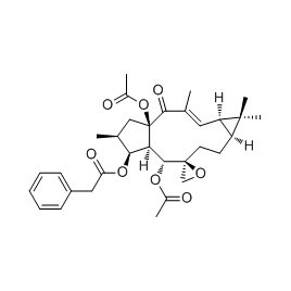 76376-43-7 | 20mg | RS-02603