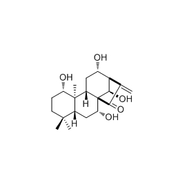 78536-37-5 | 5mg | RS-05621
