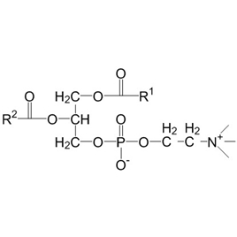 93685-90-6 | 100mg | RS-10711