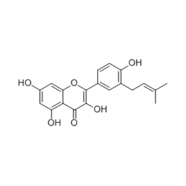 94805-83-1 | 5mg | RS-01308